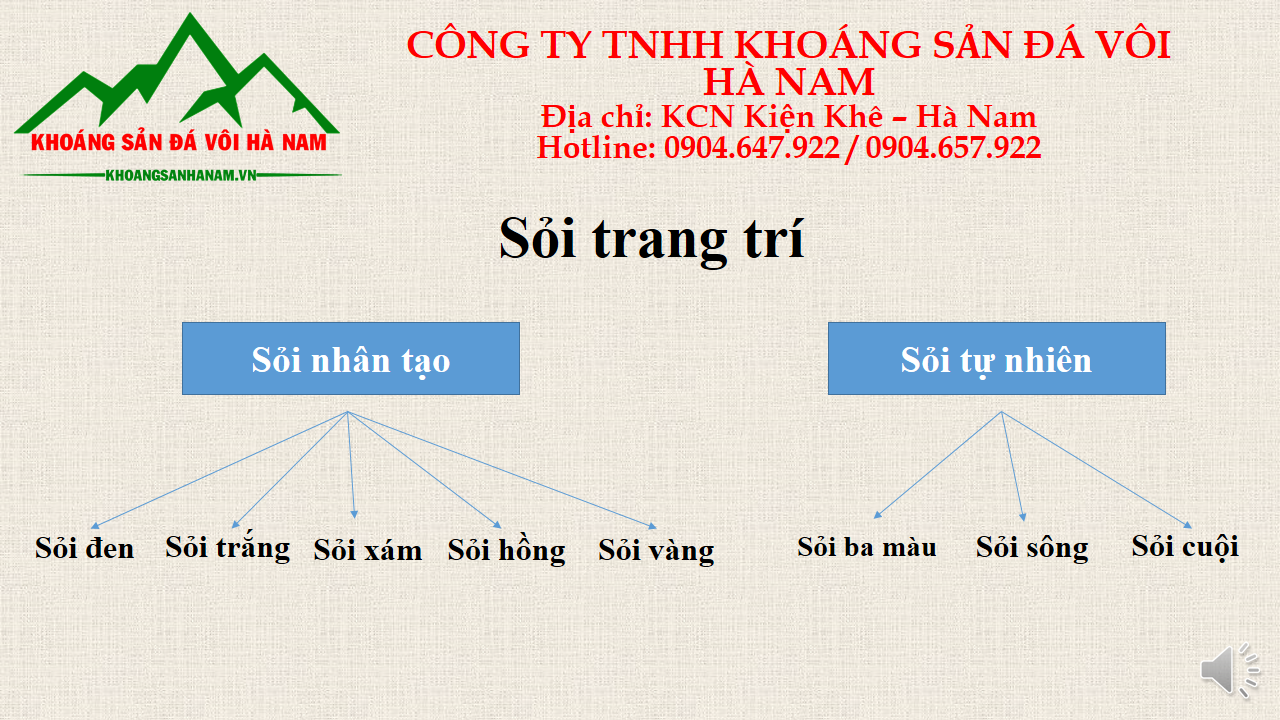 phân biệt sỏi trang trí