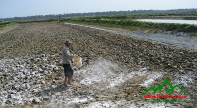 hướng dẫn bán vôi bột vào các tỉnh miền tây