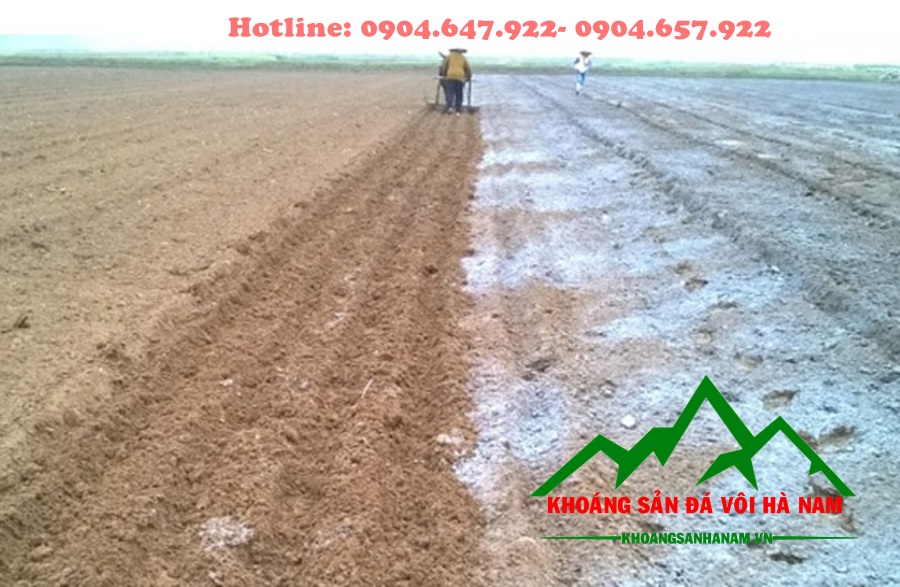 Cách tính lượng vôi bón cho đất