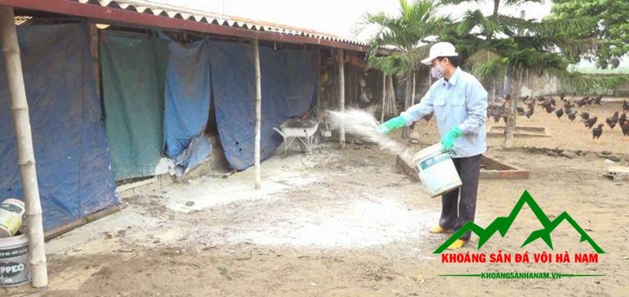 Công dụng vôi khử trùng chuồng trại trong thực tiễn