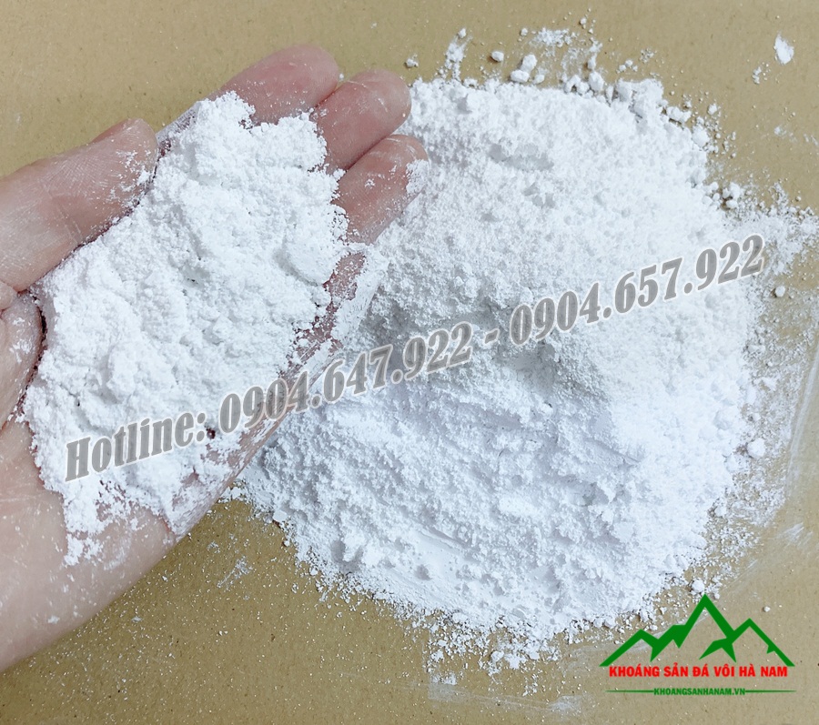 Da-voi-CaCO3-Cong-ty-TNHH-Khoang-San-Da-Voi-Ha-Nam1
