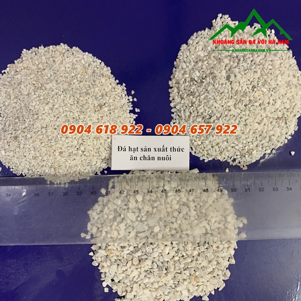 Cong-ty-Khoang-San-Da-Voi-Ha-Nam (51)