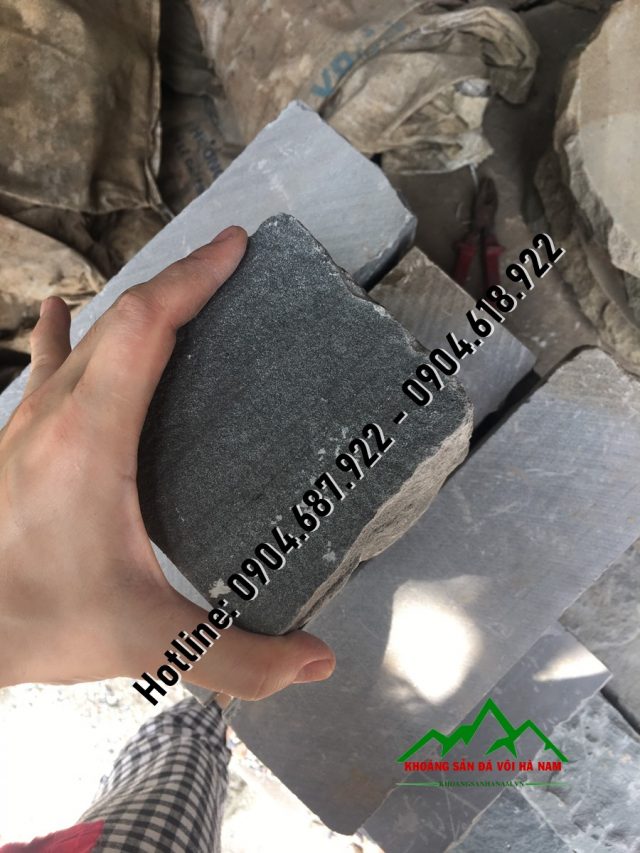 đá cây sa thạch