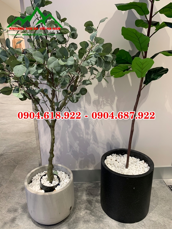 Soi-trang-muoi (10)