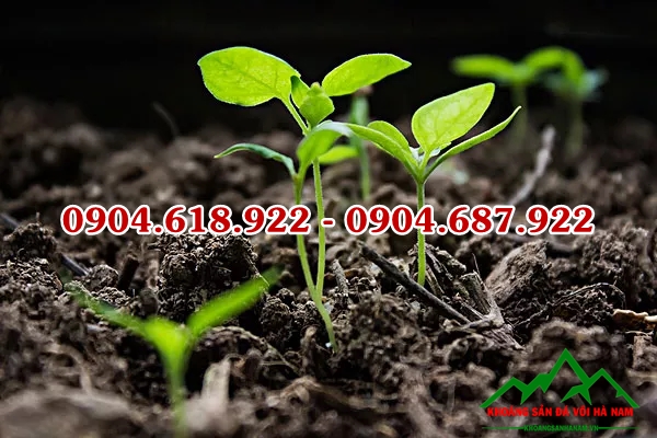 Khoang-bentonite (22)