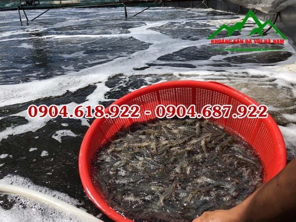 Dolomite-tai-ha-nam (6)