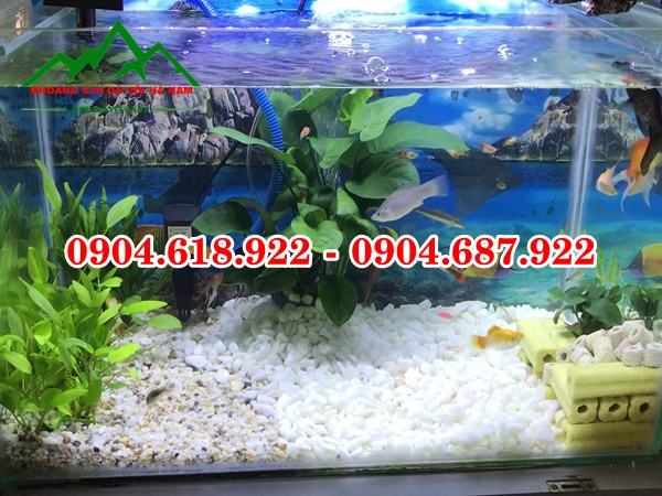 Soi trang trang tri (63)