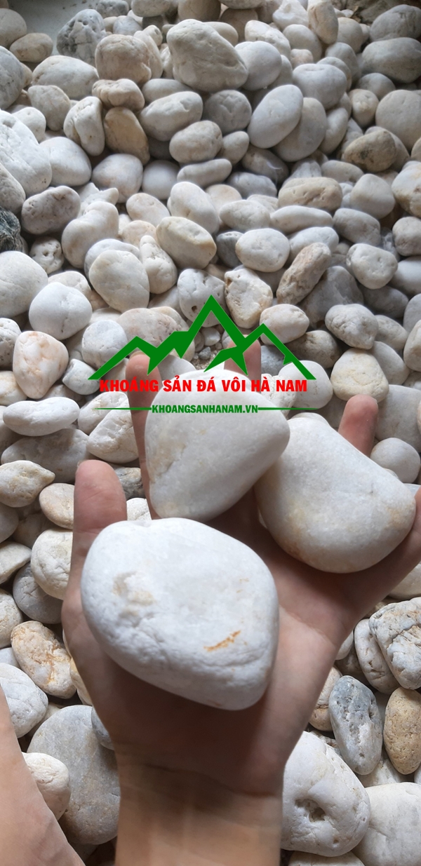 Soi trang trang tri (69)