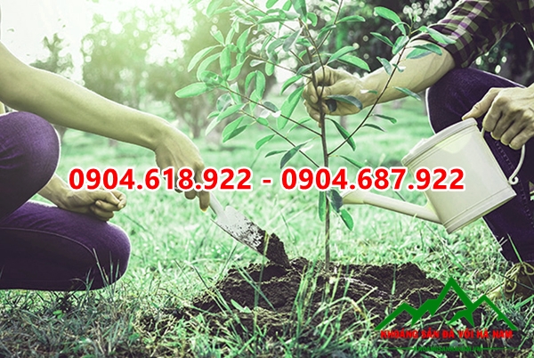 Dolomite-phu-gia-phan-bon (2)