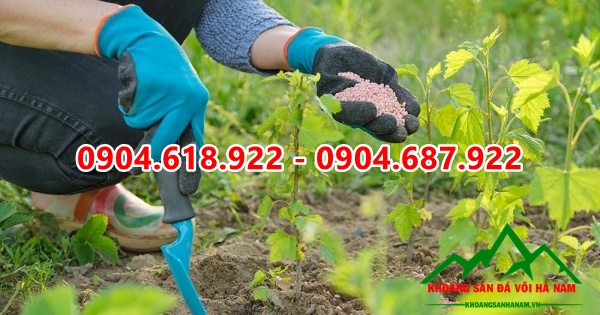 Dolomite-phu-gia-phan-bon (3)