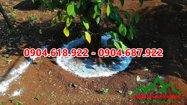 Voi-bot-nong-nghiep (1)