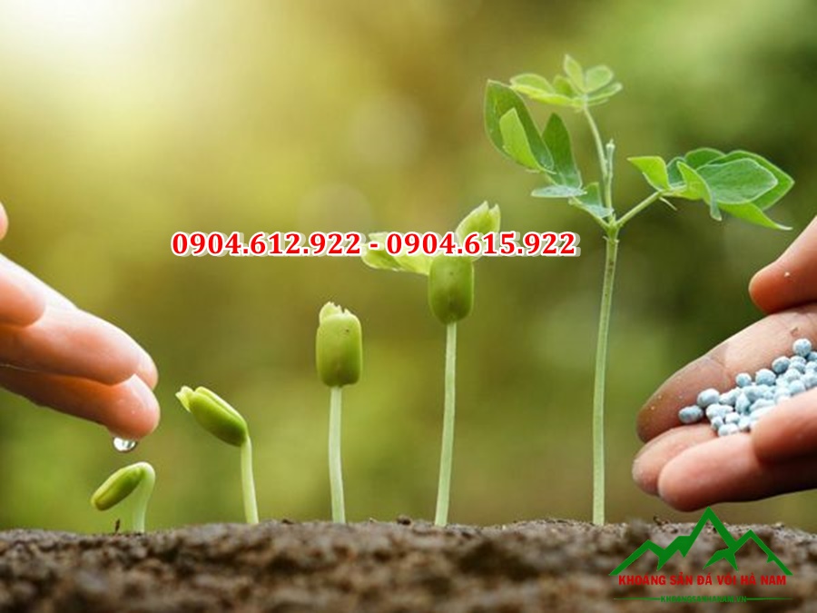 dolomite cho sản xuất phân bón