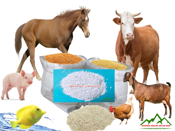 Bột đá CaCO3 ngành chăn nuôi - KSDVHN1