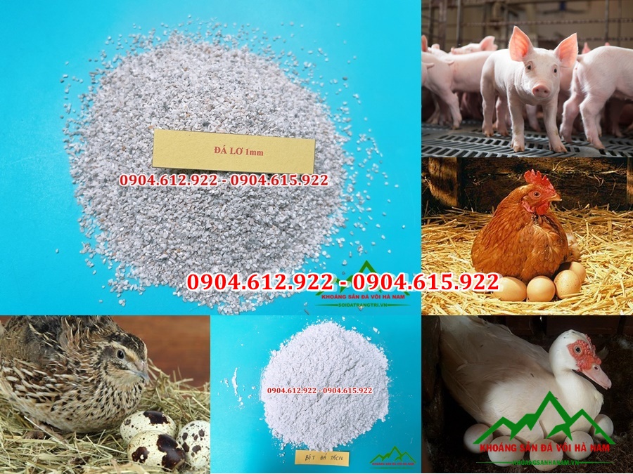 dia-chi-ban-bot-da-da-hat-cho-san-xuat-thuc-an-chan-nuoi