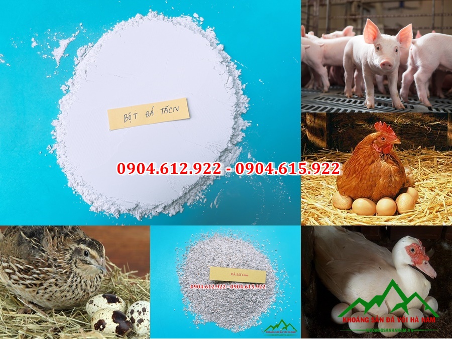 địa chỉ bán đá hạt bột đá cho sản xuất thức ăn chăn nuôi