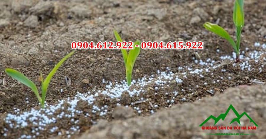 địa chỉ bán dolomite cho sản xuất phân bón