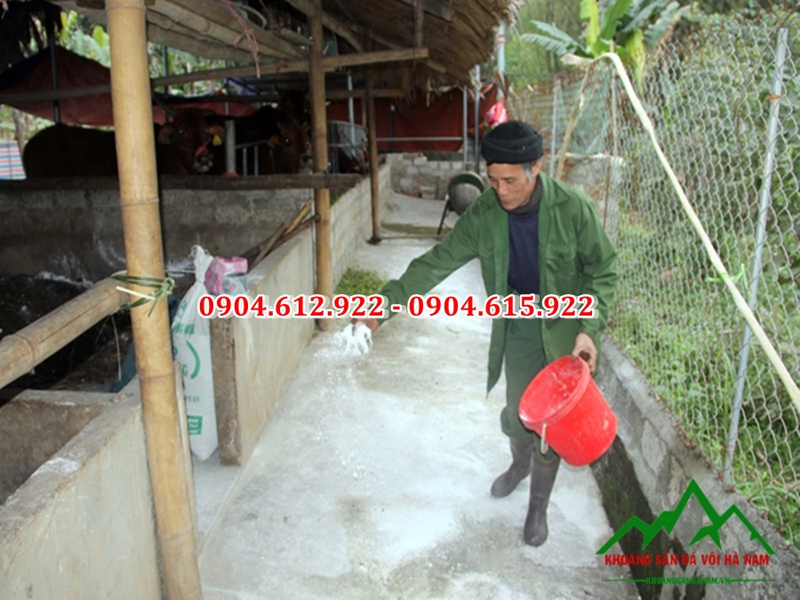 vôi bột khử trùng chuồng trại