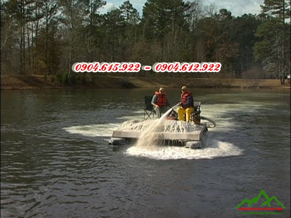 Bón Vôi cho ao cá - KSDVHN1