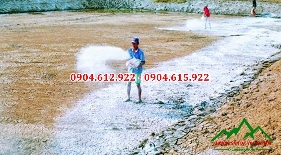 vối cải tại ao