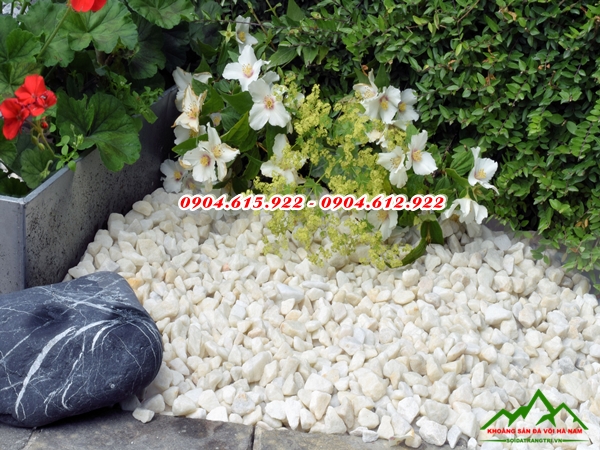 Sỏi trắng trang trí vườn - SĐSVMB