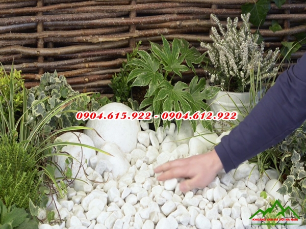 Sỏi trắng trang trí vườn - SĐSVMB5