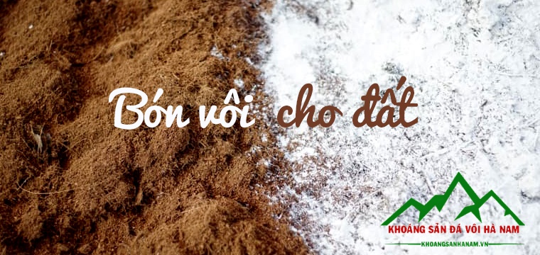 báo giá vôi cải tạo đất