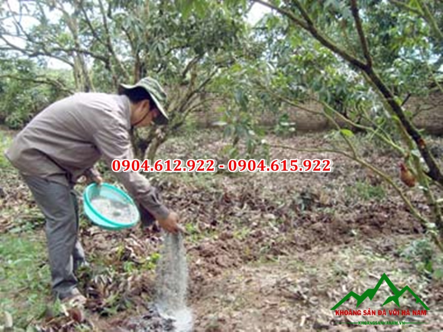 Ứng dụng của Dolomite cho cây trồng