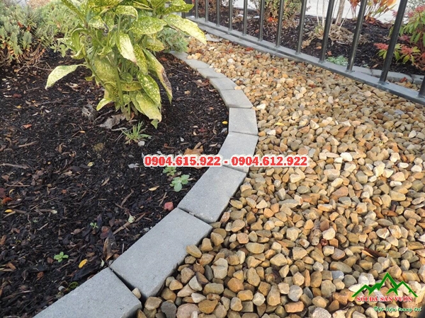 soi-trang-tri-san-vuon