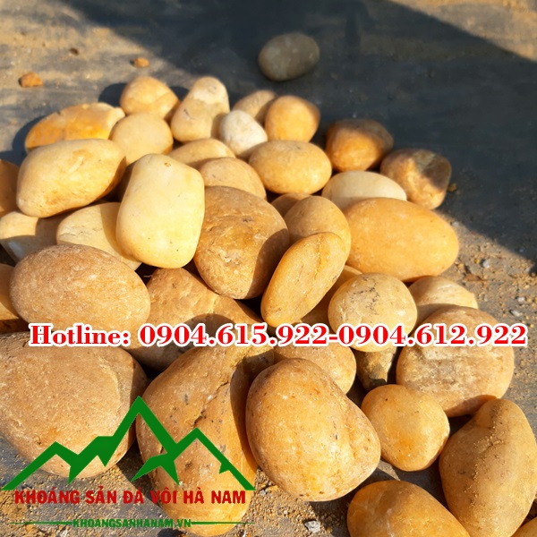 soi-trang-tri-san-vuon