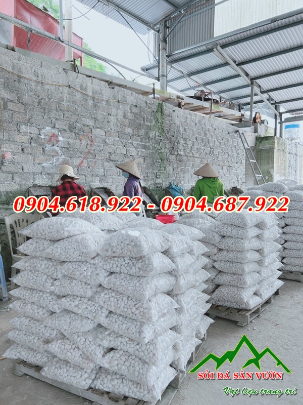 soi-trang-gia-re-mua-o-dau (6) 