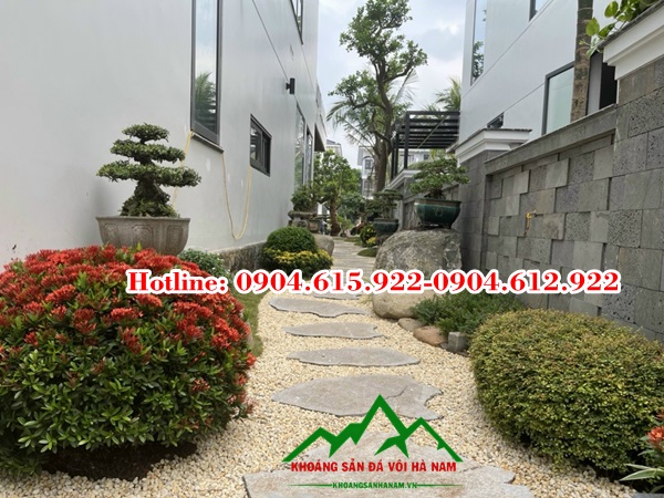 soi-trang-tri-san-vuon