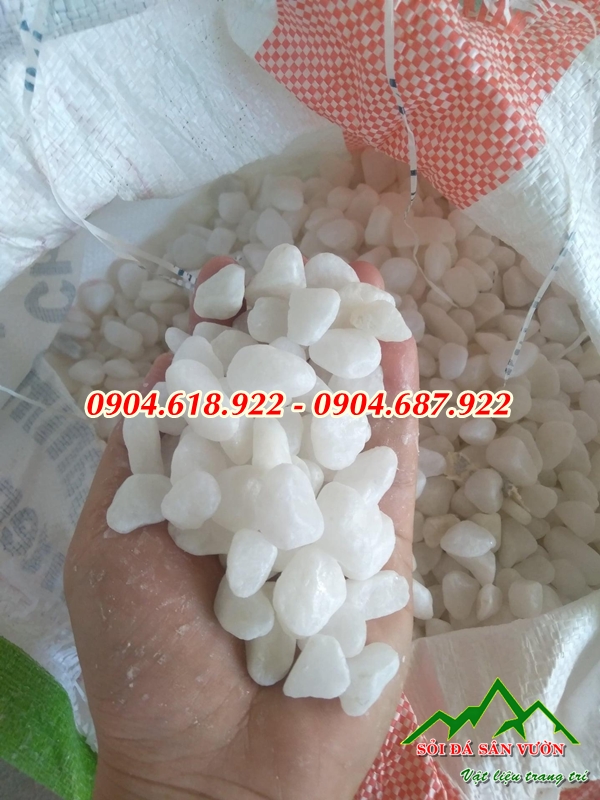soi-quay-trang-co-gia-bao-nhieu (10)