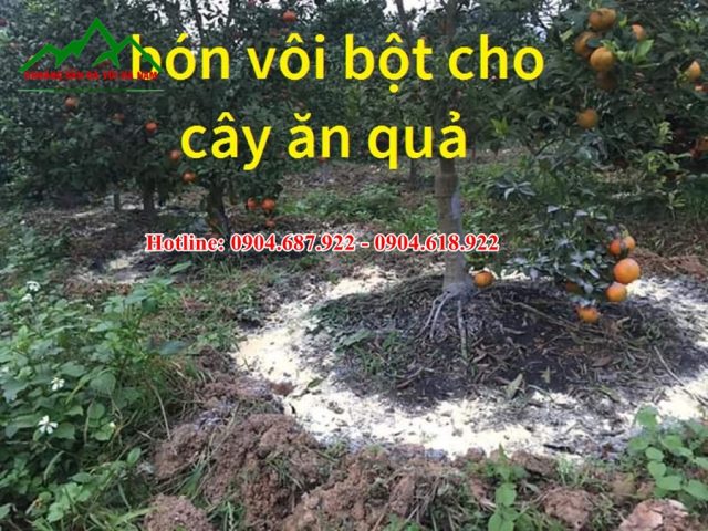 bón vôi nông nghiệp cho cây ăn quả