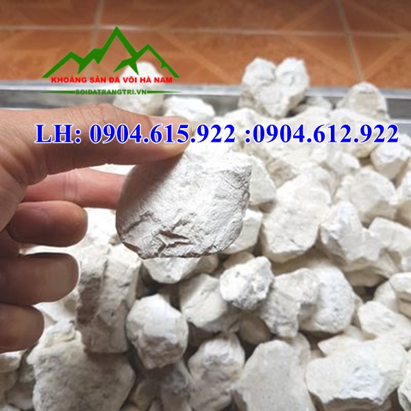 ban-voi-cuc-gia-tot-nhat-ha-nam