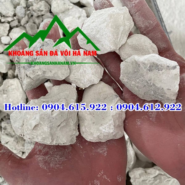 ban-voi-cuc-gia-tot-nhat-ha-nam