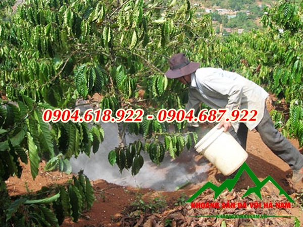 Cong-dung-voi-dolomite-nong-nghiep (4)