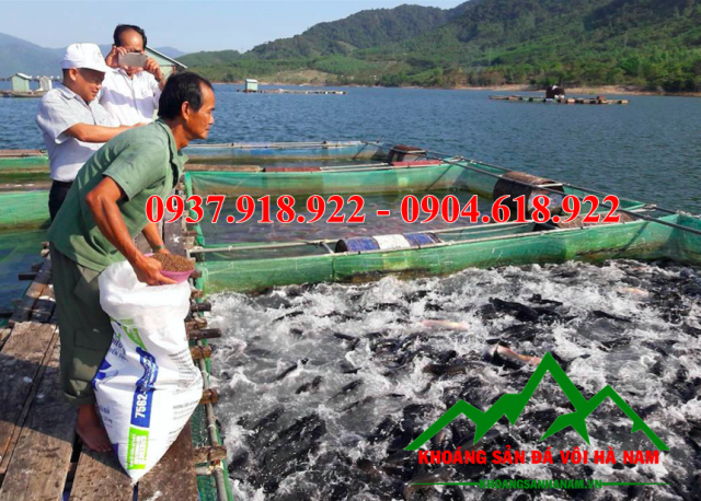 bán bột đá tại miền nam