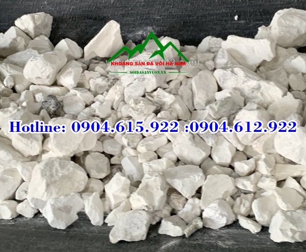 ban-voi-cuc-gia-tot-nhat-ha-nam