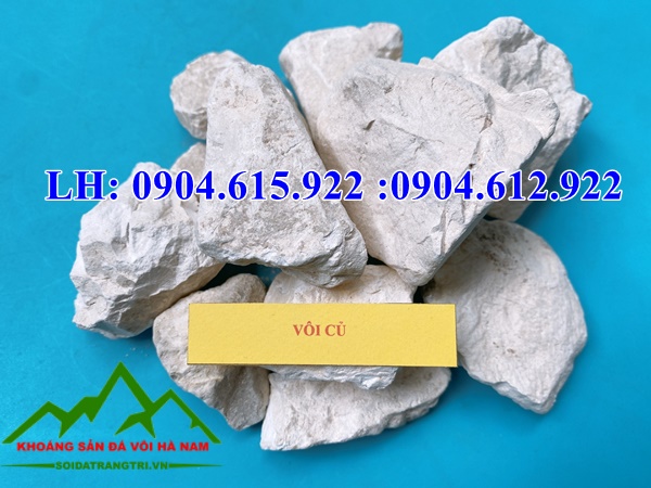 ban-voi-cuc-gia-tot-nhat-ha-nam