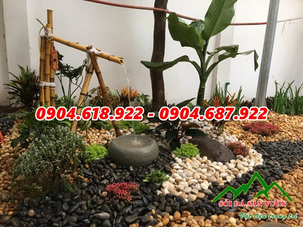 soi-cuoi-vang-rai-loi-di-san-vuon (10)