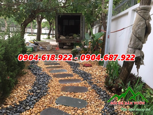 soi-cuoi-vang-rai-loi-di-san-vuon (9)