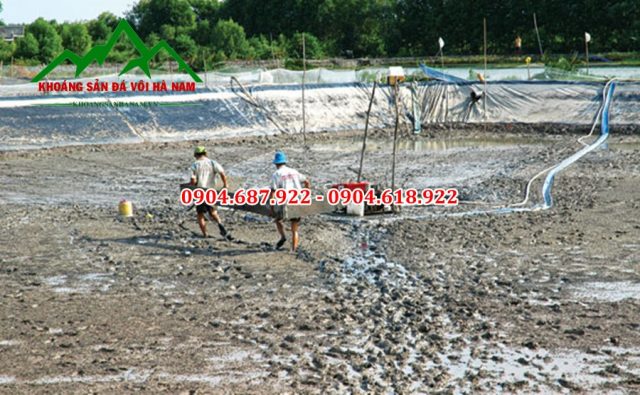 Vôi bột cho thủy sản