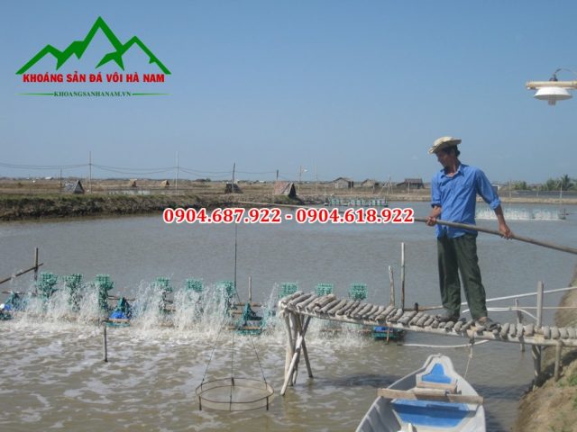 Sủ dụng vôi trong nuôi tôm