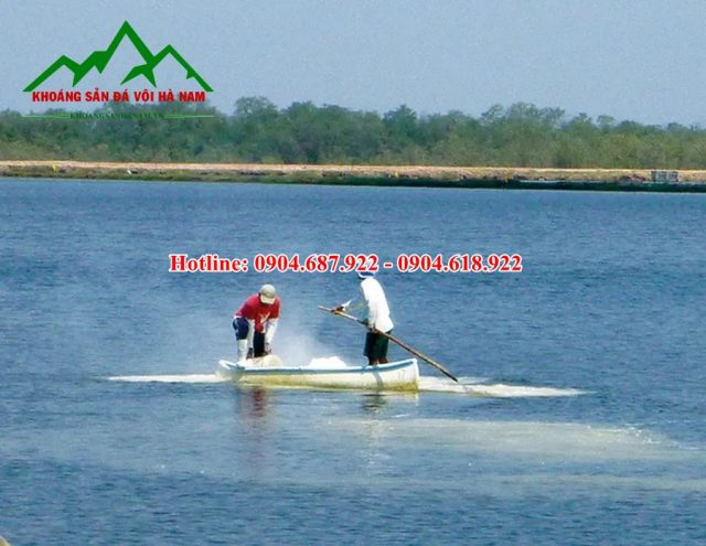 Xử lý vôi thủy sản nuôi tôm