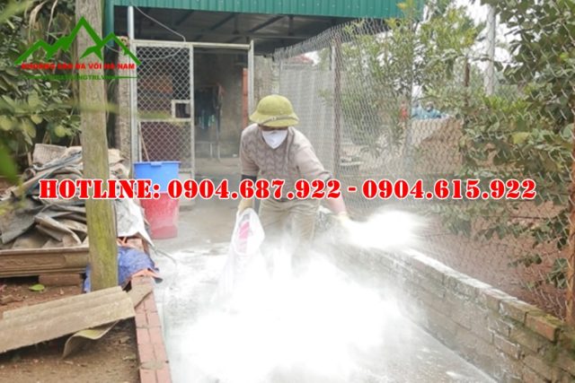vôi bột xử lý lơn dịch tả