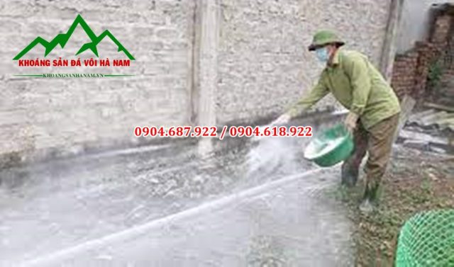 sử dụng vôi bột xử lý chuống trại