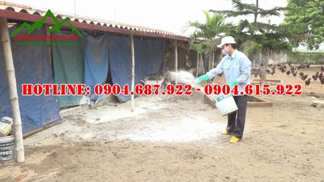 Vôi bột khử khuẩn chuồng trại