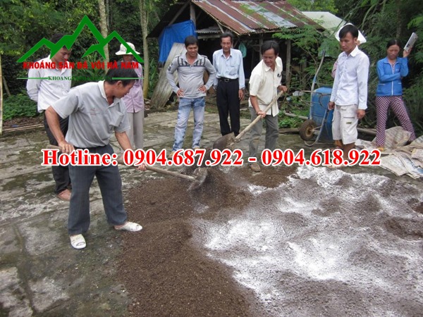 vôi bột xử lý dịch lợn 