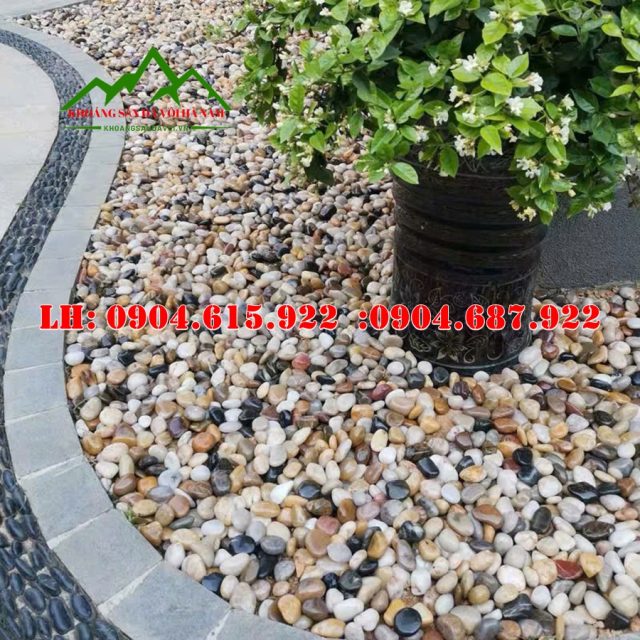 cac-loai-soi-tu-nhien-trang-tri