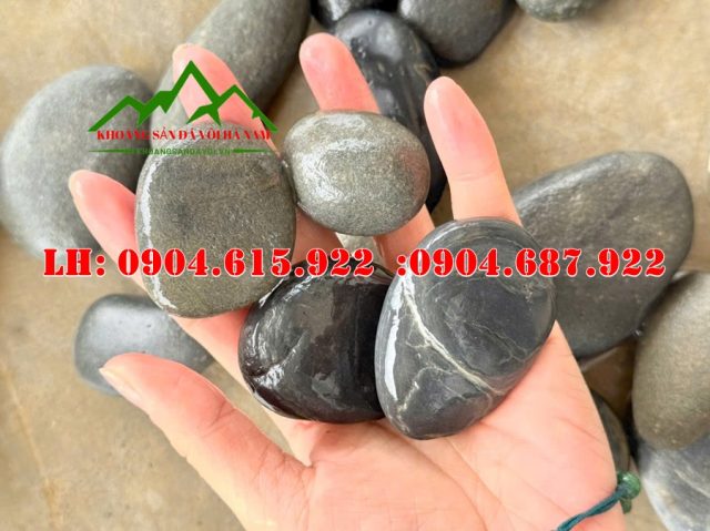 cac-loai-soi-tu-nhien-trang-tri